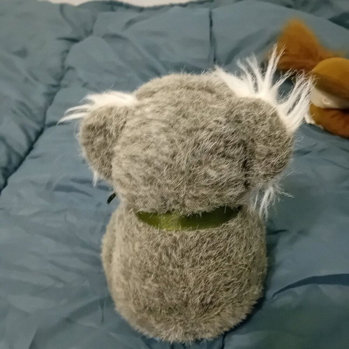 Koala stuffed toy used