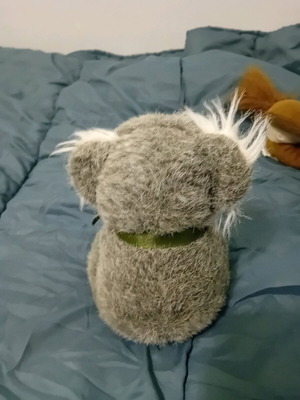 Koala stuffed toy used