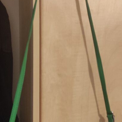 Shoulder bag crossbody green like new