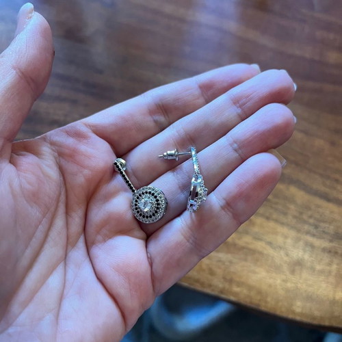 Steel earrings new