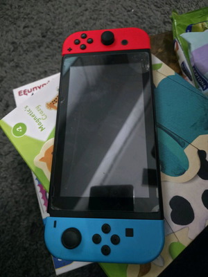 Nintendo Switch used