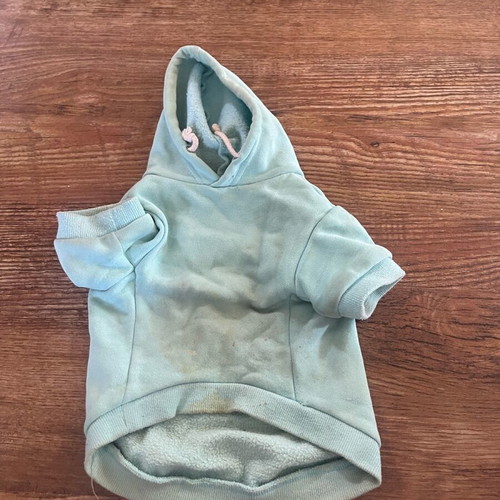 Dog shirt for small breed up to 8 years used with scratches