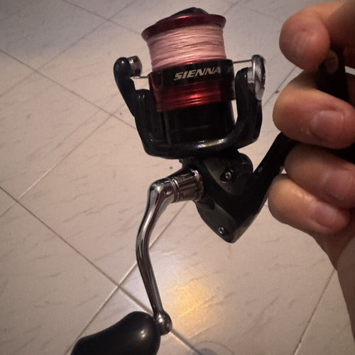 Shimano Sienna 2500 fishing reel with 100m line new