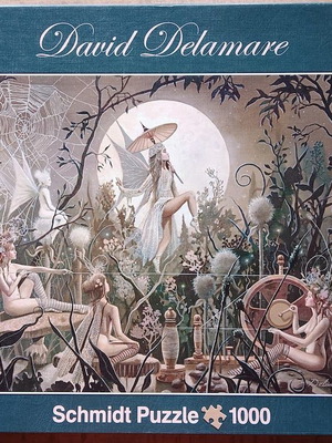 Schmidt puzzle 1000 pieces David Delamare Fairy Moonlight used
