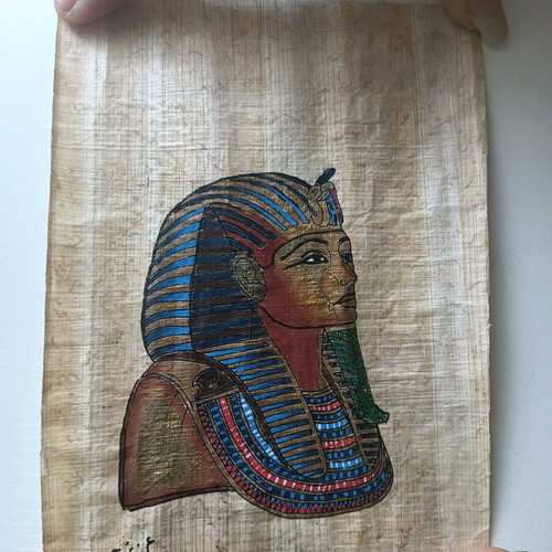 Pharaoh Papyrus used with painting