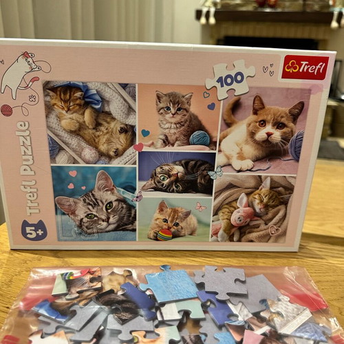Children's Puzzle In The Cats World like new, 100 pieces