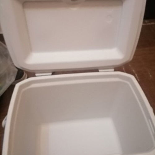 Coleman Cooler 28L new