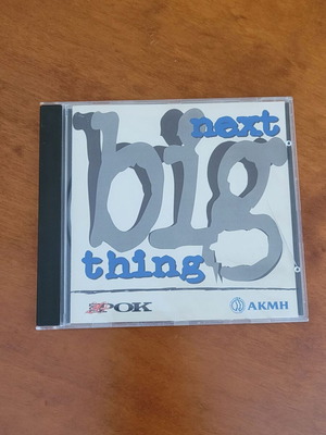 Next Big Thing CD used, rock