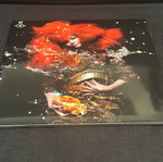 Biophilia 2LP 180g vinyl album like new