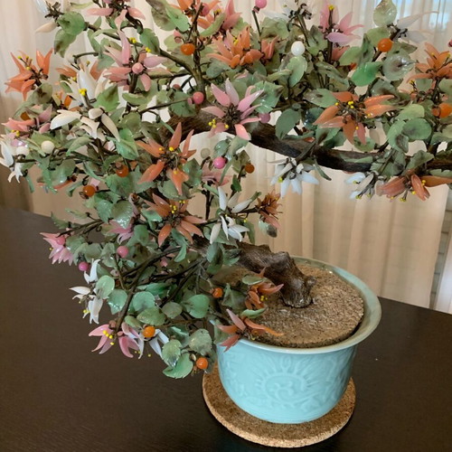 Bonsai jade tree collectible like new in ceramic pot