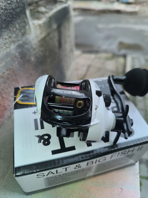 WFT Salt & Big Fish II Fishing Reel New with Line LST#1.0