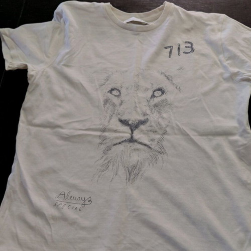 Zara t shirt 10 years used, white, size 140 cm