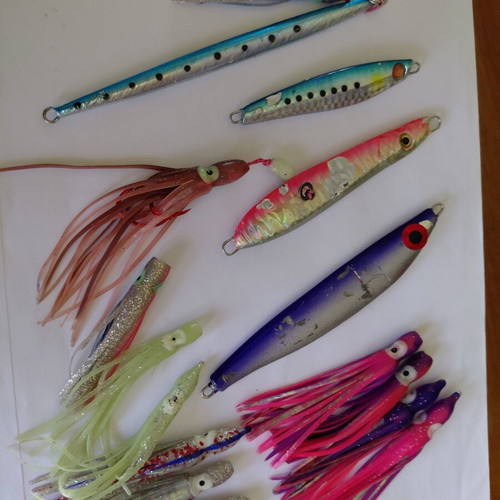 Shore jigging jigs used, Pregio Slash 60gr, Hayabusa Jack Eye Shot 60gr, M&W 100gr Inchiku, Nameless 125gr, 10 silicon octopus