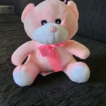 Plush teddy bear new