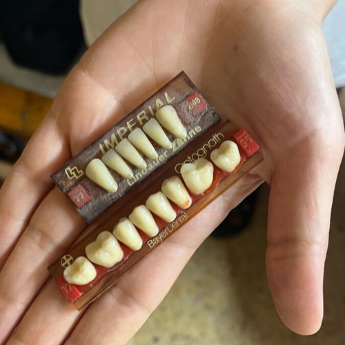 Bayer Dental Teeth Cards new from dental lab
