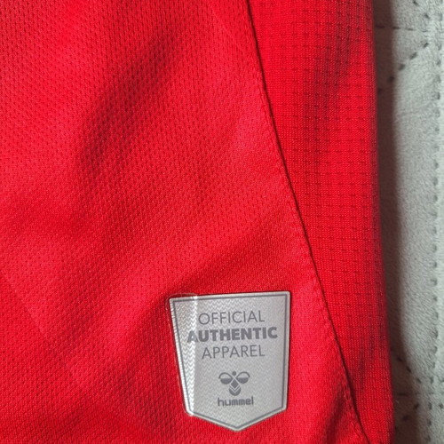 Denmark home shirt boys size 152 number 10 Eriksen used