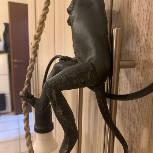 Ceiling light Monkey with lamp new 3D print
