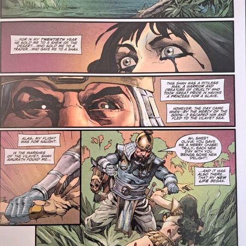 Conan the Cimmerian issue 22 like new, Dark Horse comics