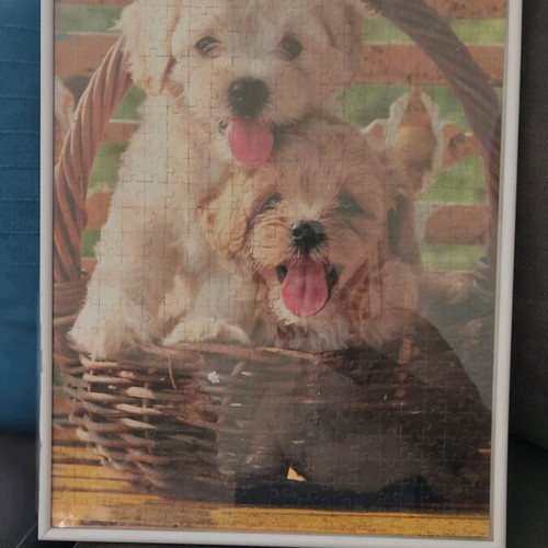 Puzzle in frame with two puppies in a basket handmade like new