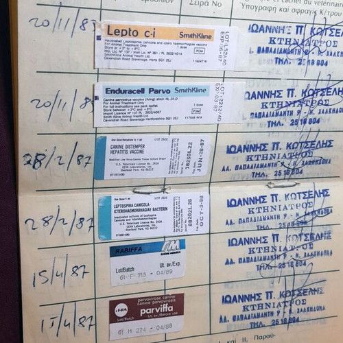 Athens Vintage Dog Vaccination Certificate 1988 like new