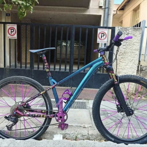 Da Bomb Sentinel mountain bike with Shimano hydraulic brakes