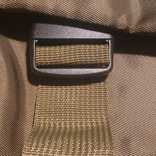 Carpisa women's crossbody bag like new green