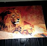  3D Κορνιζα - Λιονταρια Στη Σαββανα