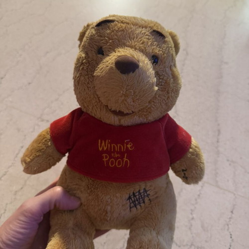 Winnie the Pooh plush toy