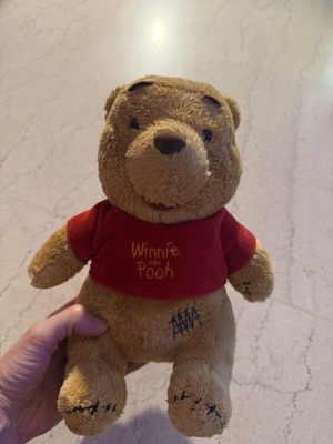 Winnie the Pooh plush toy