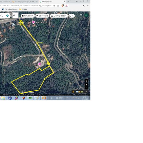 Olive Grove 17.1 stremmas with 360 trees, sea view, buildable land