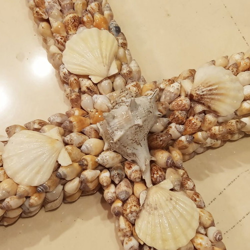 Handmade cross covered with shells new