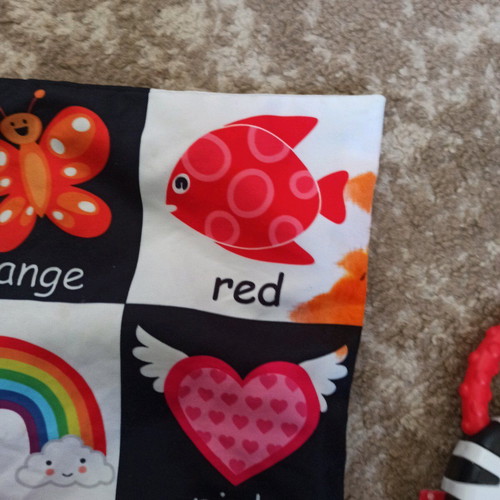 Zebra Fisher Price like new with bonus baby activity surface