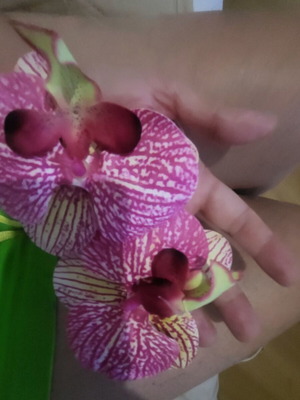 Orchids earrings new