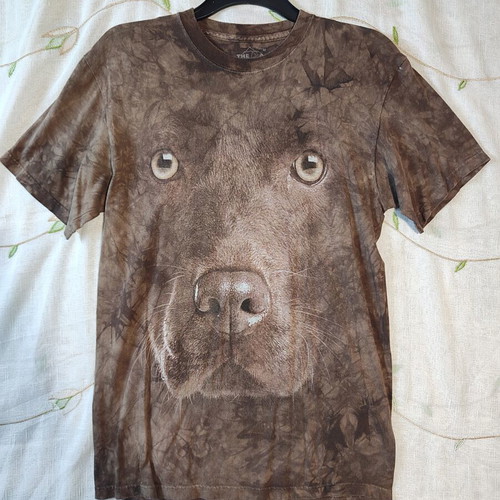 The Mountain Chocolate Lab T-shirt size M like new, colorful