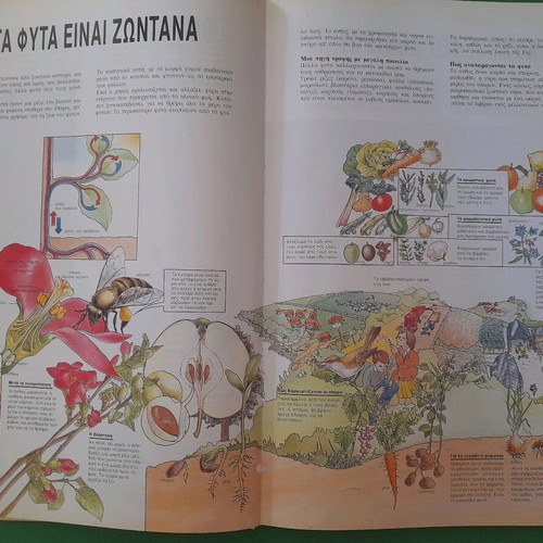 Larousse Children's Encyclopedia used, Greek language