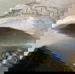  Γύψινη περικεφαλαία σε μαρμάρινη βάση