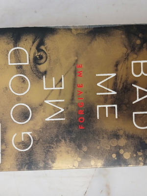 Good Me Bad Me novel by Ali Land