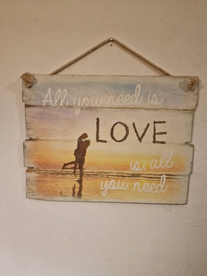 Hanging frame like new 30×40