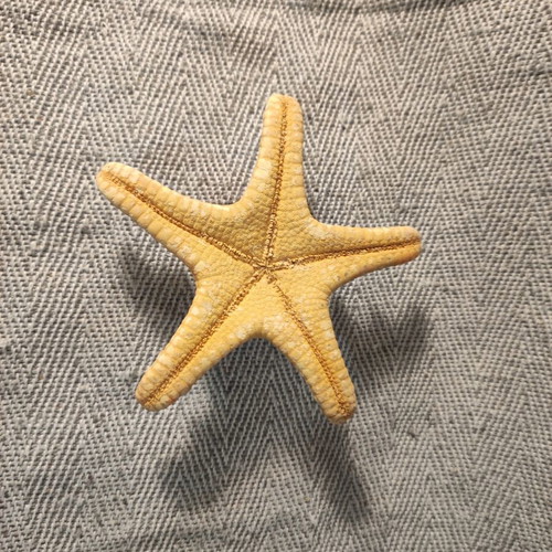 Seashell set like new, 4 pieces including starfish and Angel wings