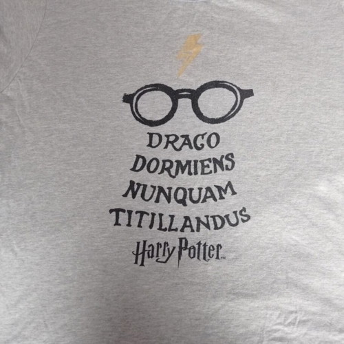 Harry Potter T-shirt used, size XL, black and gray