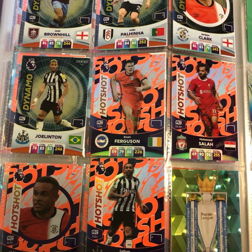 Panini Premier League 2024 Complete Basic Collection
