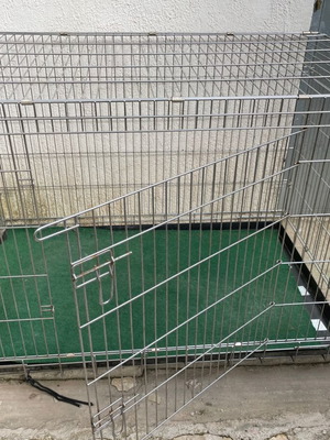 Large dog cage used, size XXL
