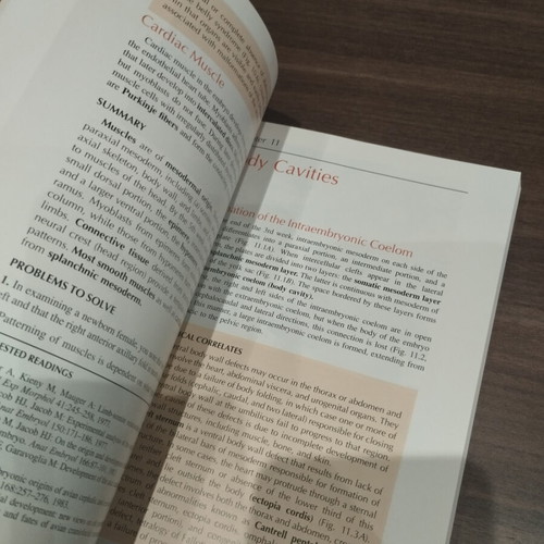 Langman's Medical Embryology καινούργιο αγγλικό βιβλίο
