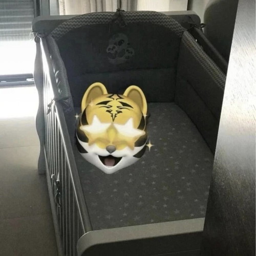 Santa Bebe convertible baby cot with Grecostrom mattress and chest of drawers