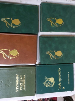 Six leather-bound literature books