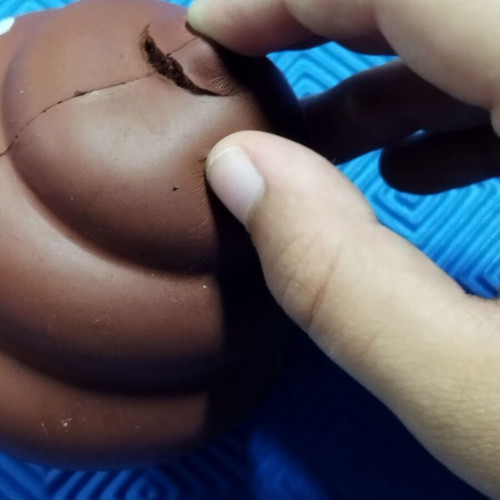 Soft Poop Toy used