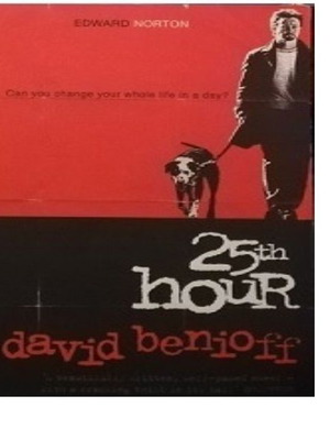 25th Hour book used, in English