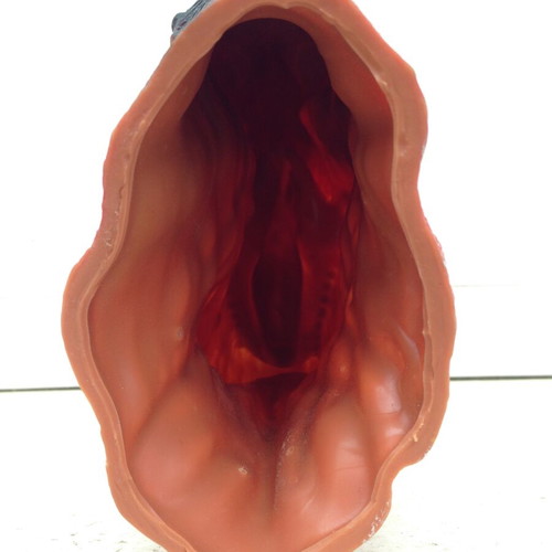 Realistic latex puppet head T-Rex red like new