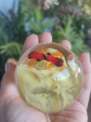 Crystal ball with flour and bumblebees new