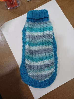 Knitted sweater handmade for small dog used